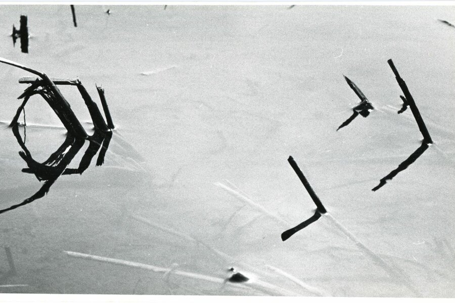 Camargue inconnue, Compagne de Massy, „Creation Photographique“, 18 bis, rue Gambetta, Massy